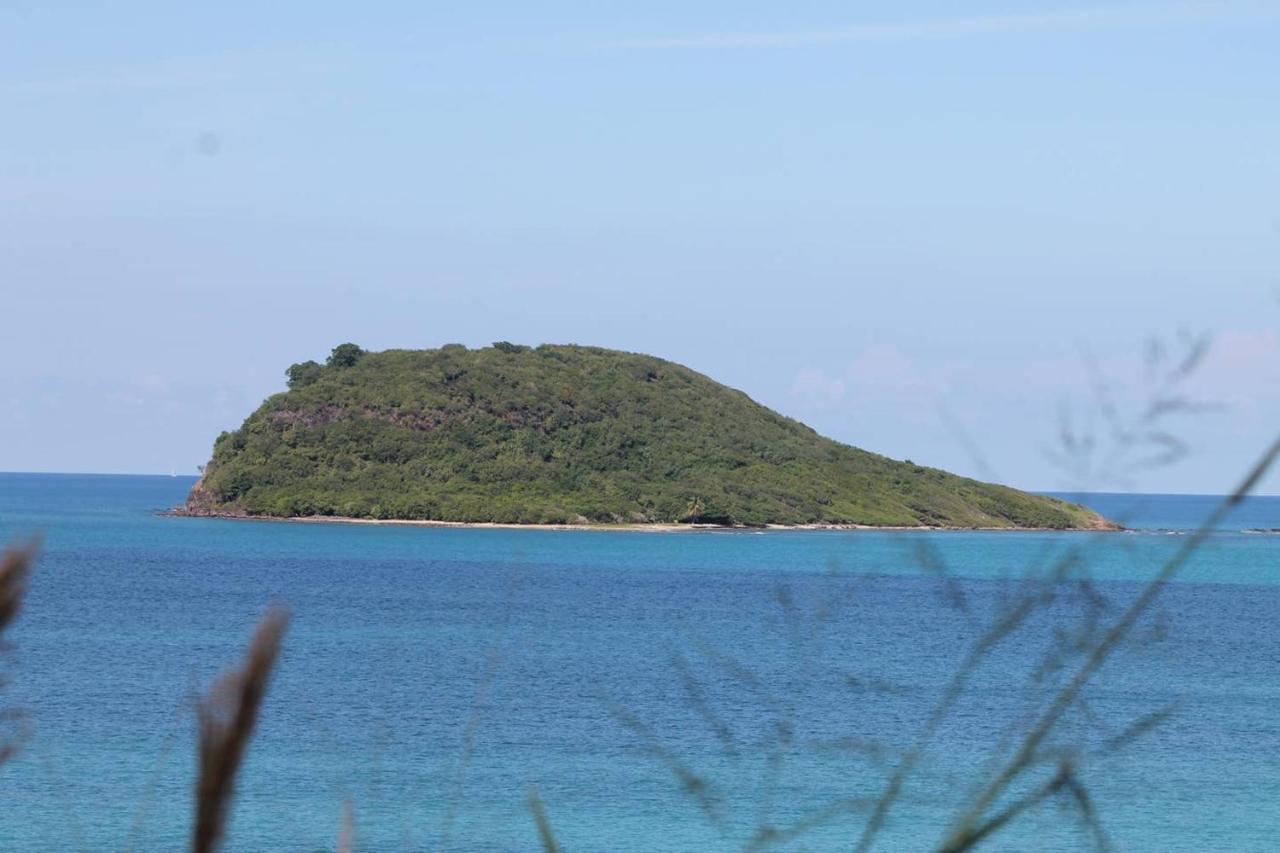De 2 A Rose A 500 M De La Avec Vue Sur La Piscine Privee Et Jardin Clos Villa